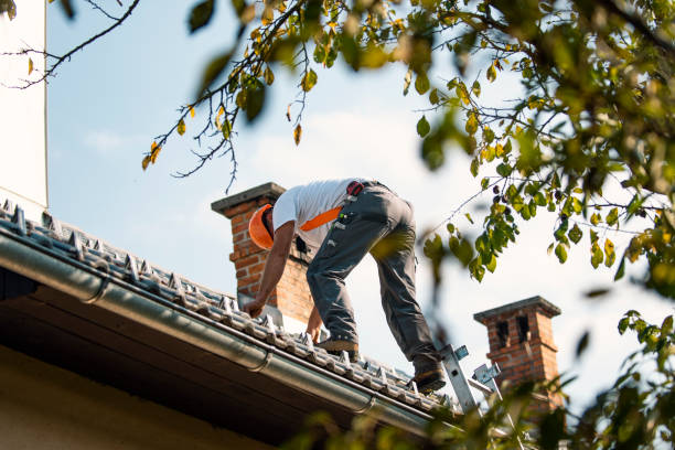 Reliable Savanna, IL Roofing Service Solutions