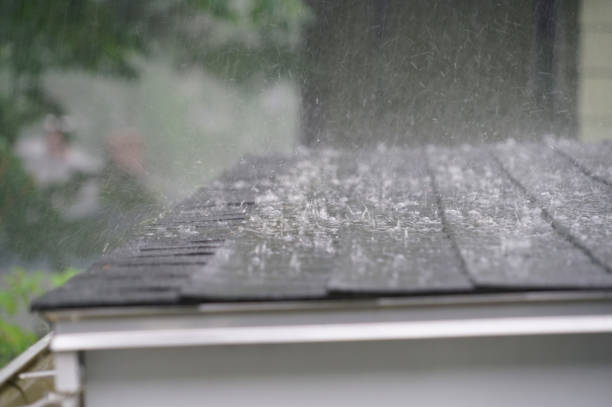 Best Solar Panel Roofing Installation  in Savanna, IL