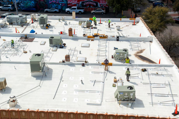Best Skylight Installation and Repair  in Savanna, IL